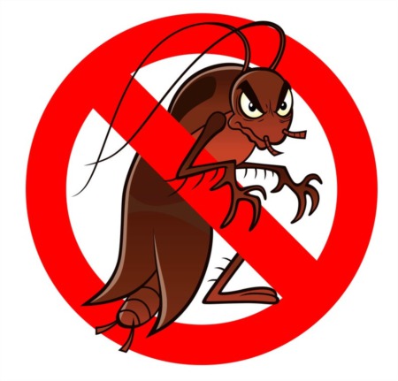5 Best Disposable Cockroach Bait Traps: Effective Solutions for Pest Control