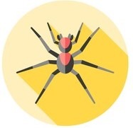 Your Ultimate Guide to Understanding the Difference Between Bed Bugs and Dust Mites