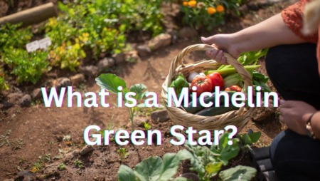 The Michelin Green Star: A Culinary Revolution