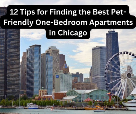 Tips for Finding the Best Pet-Friendly One-Bedroom Apartments in Chicago