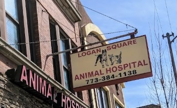 Relocating to Chicago's Vibrant Neighborhoods: A Guide for Families and Their Furry Friends