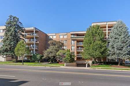 1020 N Harlem Ave #1D River Forest,  IL 60305