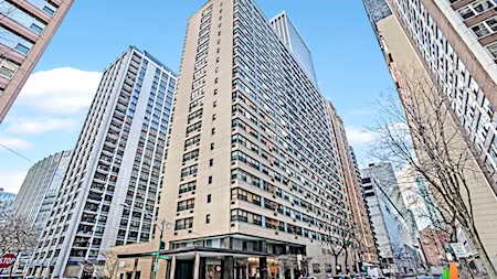 850 N Dewitt Place #17E Chicago,  IL 60611