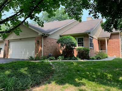 543 Shagbark Dr Elgin,  IL 60123