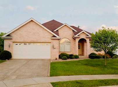 1316 Sky View Ln Beecher,  IL 60401