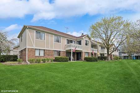 117 Scanlon Dr #C2 Wheeling,  IL 60090