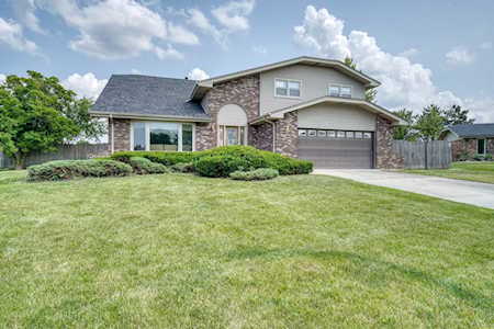 12809 Meadowview Ln Homer Glen,  IL 60491