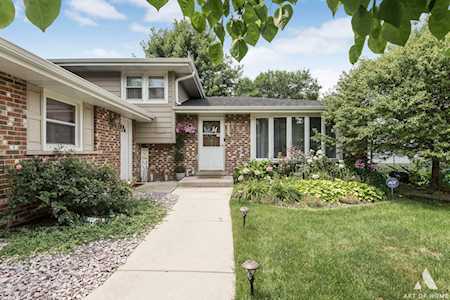 10248 S 82nd Ave Palos Hills,  IL 60465