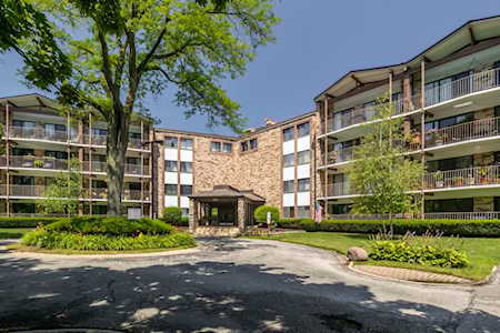 250 W Parliament Place #408 Mount Prospect,  IL 60056