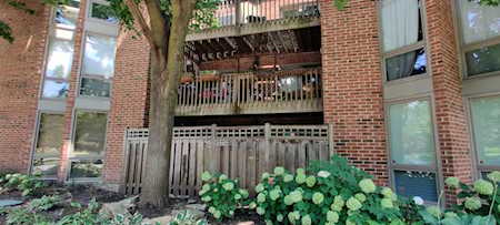 2045 N Larrabee St #7207 Chicago,  IL 60614