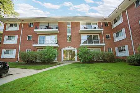 10113 Old Orchard Ct #303 Skokie,  IL 60076