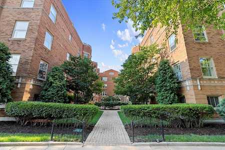 621 Washington Blvd #G Oak Park,  IL 60302